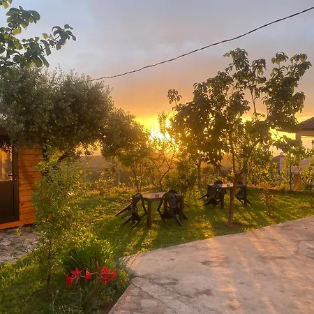 Meti * Krujë