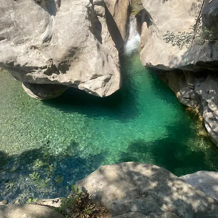 Meti * Krujë