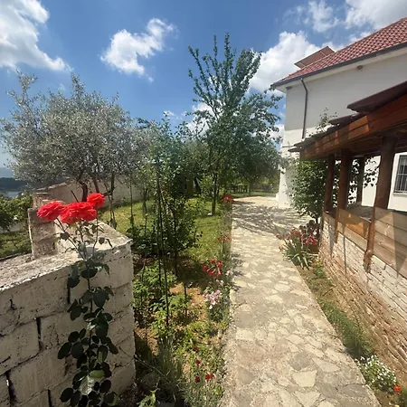 Meti * Krujë