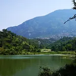 Meti