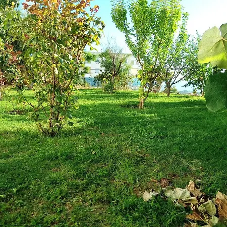 Meti Kruje
