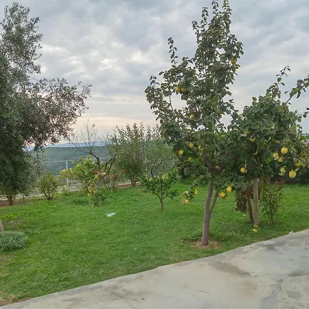 Guest house Meti
