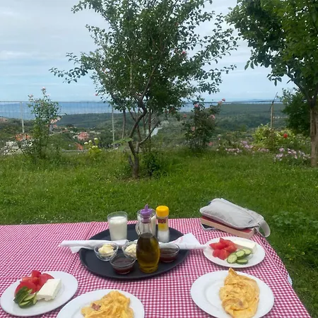 Meti Kruje