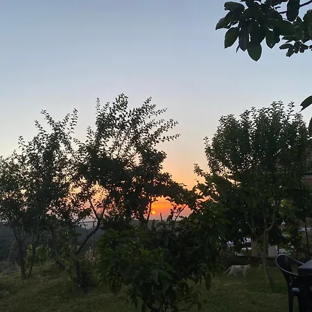 Meti * Kruje