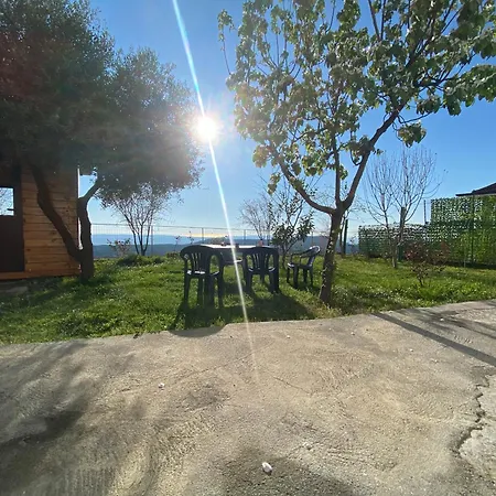 Meti