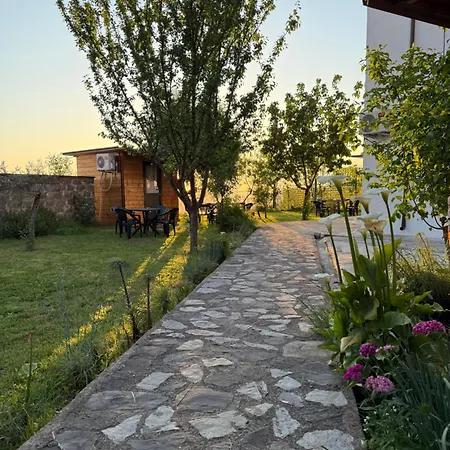 Meti Guest house