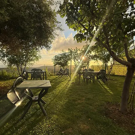 Meti *