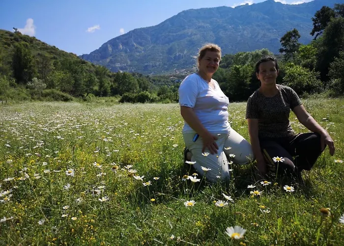 Meti * Krujë